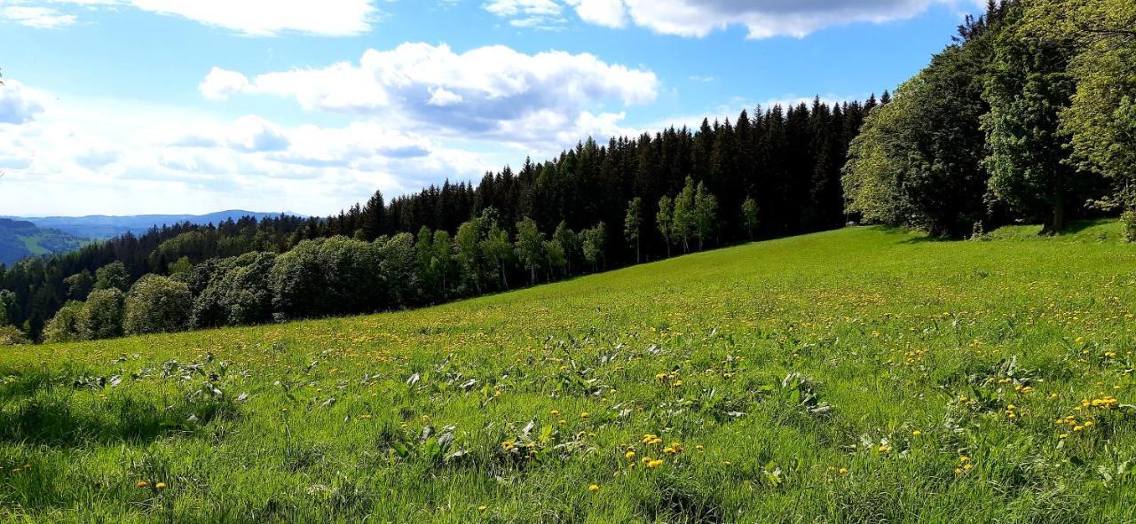 Apartment Hygge Bratrouchov Jablonec nad Jizerou
